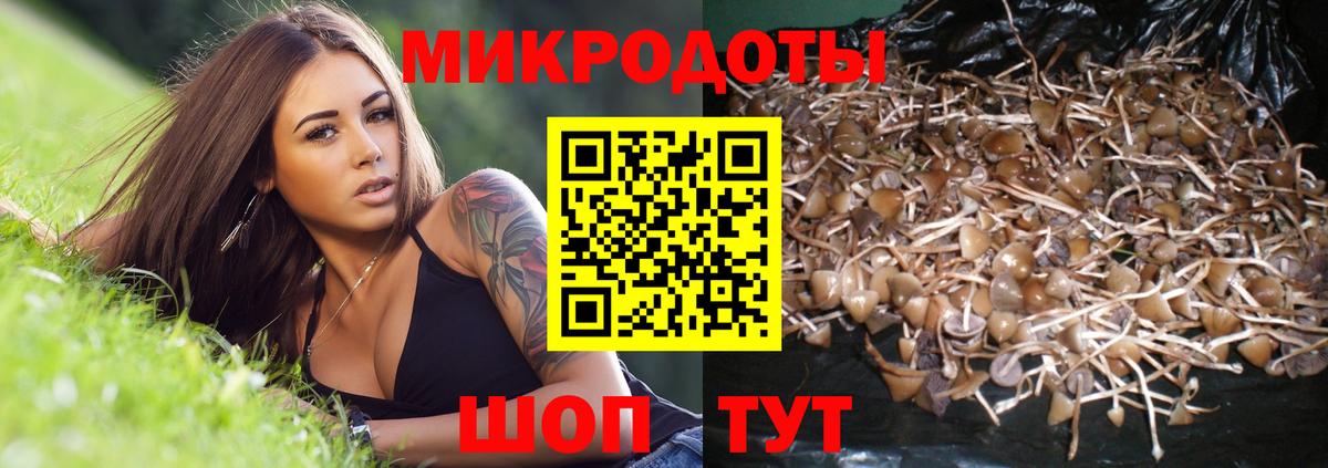 Галлюциногенные грибы мухоморы Воскресенск